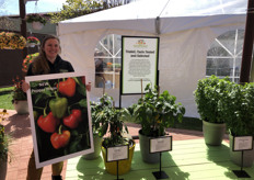 Isabel Branston of HandPicked Vegetables. The new midi-bell Pepper Prism from the PanAmerican Seed HandPicked Vegetables Collection joins the company’s assortment. "It is a rainbow of colour on one pepper plant, ripening with green, orange and red colours at the same time. Isabel Branstrom is supervisor of new crops and research, and is excited to show off the latest introductions in edibles."